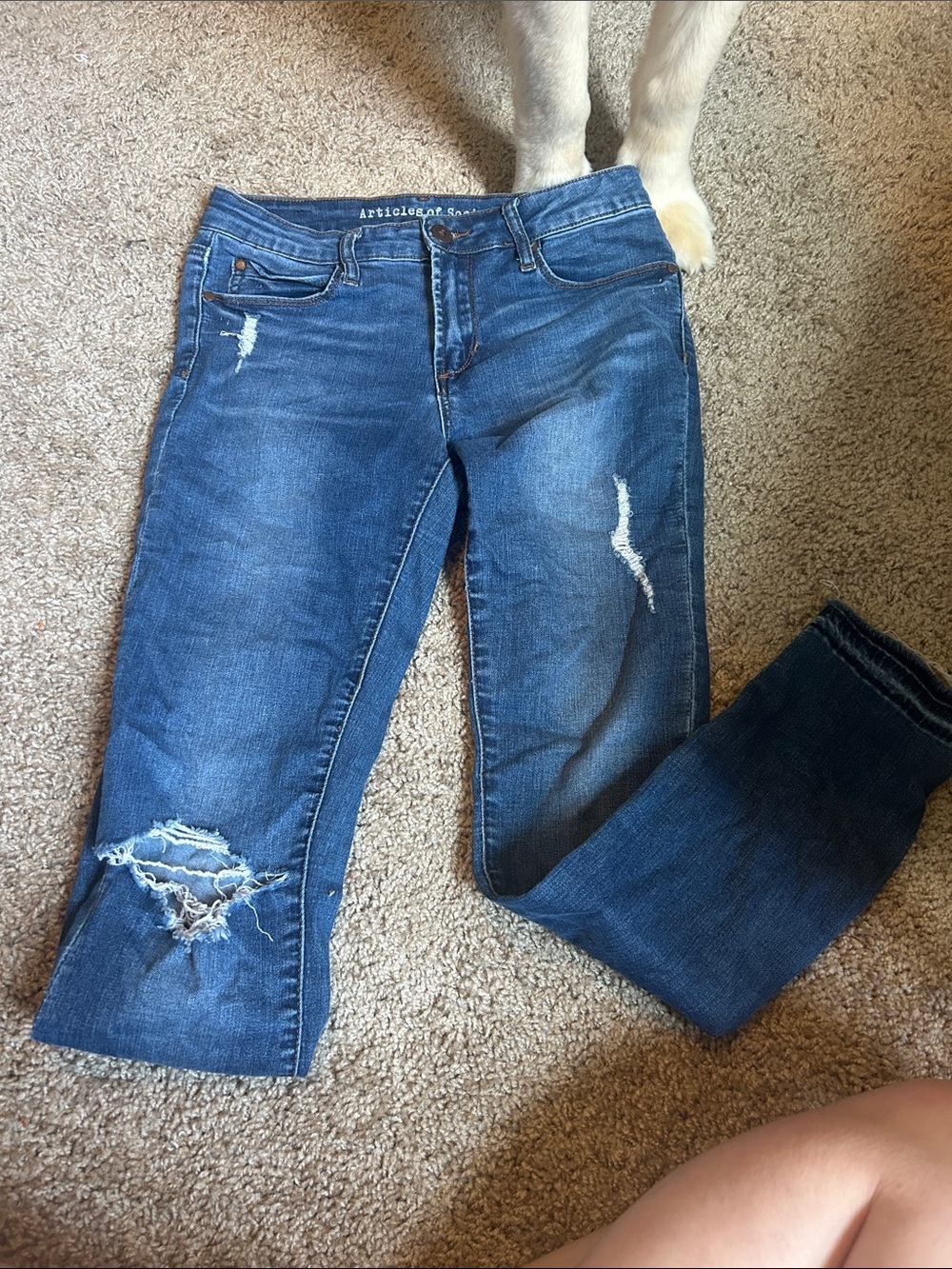 Articles Of Society Dark Blue Distressed Ankle Jeans